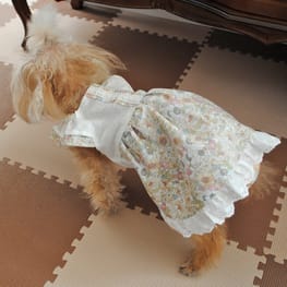 オブリガーダさんの作品