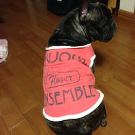 うめさんの作品