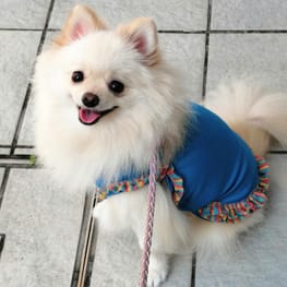 にこママさんの作品