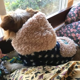 海うさぎさんの作品