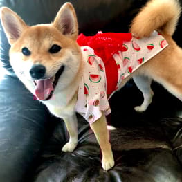 ユウさんの作品