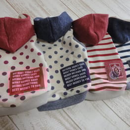 NaturalMarineさんの作品