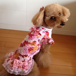 らくすさんの作品