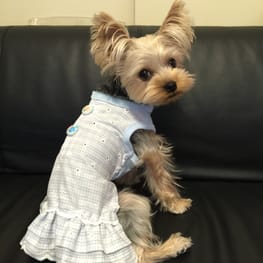 ティンクさんの作品