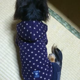 sakuramaruさんの作品