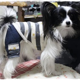 依音さんの作品