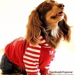 akizoo88さんの作品