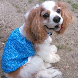 かれいママさんの作品