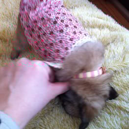 nagisaさんの作品