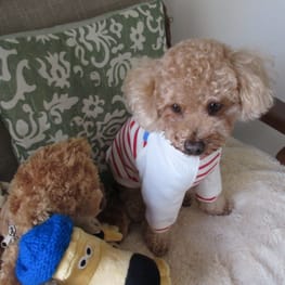 リンゴさんの作品