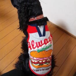 晴ママさんの作品