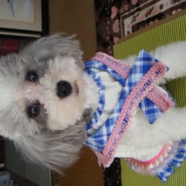 ミチさんの作品