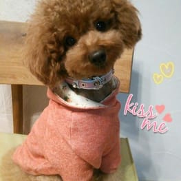 トモコさんの作品