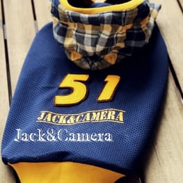 akizoo88さんの作品