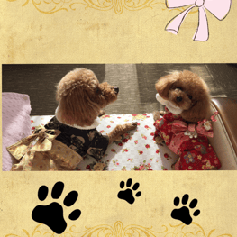 モナリオさんの作品