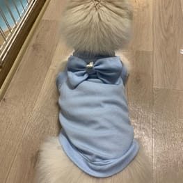 WKSchatzさんの作品