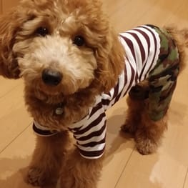 luce*さんの作品