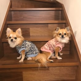 バックオープンベスト/millacra / 愛犬のための犬服、ペット服の型紙