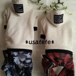 usakorinさんの作品