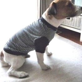 millamillaさんの作品