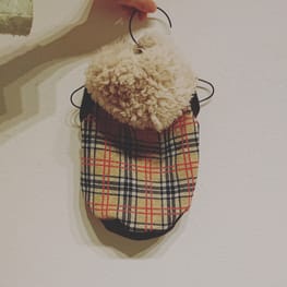 ちょこくろさんの作品