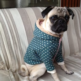 nicochan9689さんの作品