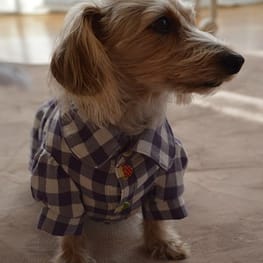 ひなはなさんの作品