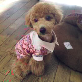 ちゃちゃさんの作品