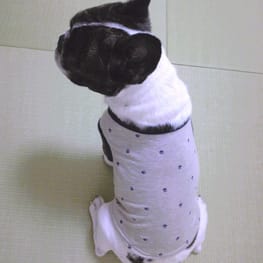 millamillaさんの作品