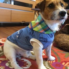 ちぃこさんの作品