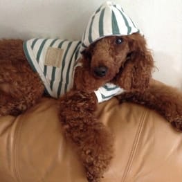 pricaさんの作品