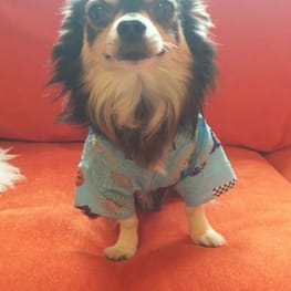 くまいくさんの作品