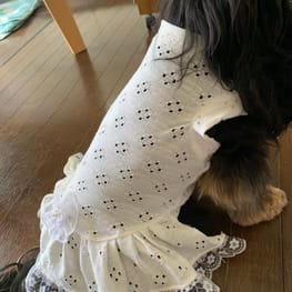 あっちゃんさんの作品