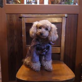 シロさんの作品