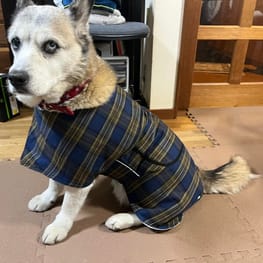オーバーレインコート/millacra / 愛犬のための犬服、ペット服の型紙