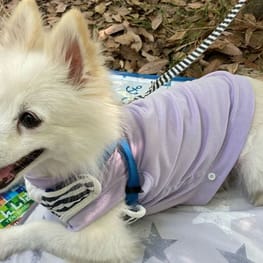 WKSchatzさんの作品