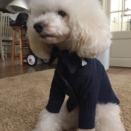 rairuさんの作品