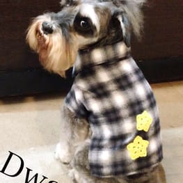 Dwarfさんの作品