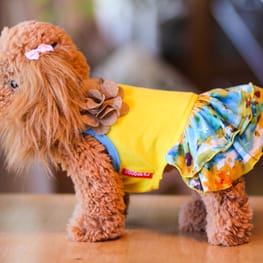 Princessmiyaさんの作品