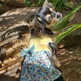 maymayさんの作品