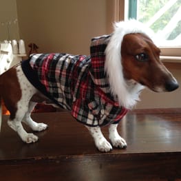 deviltakaさんの作品