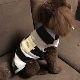 みちもこさんの作品