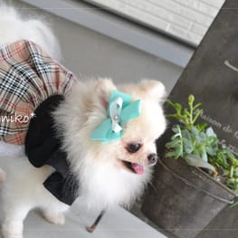 *pomechi*さんの作品