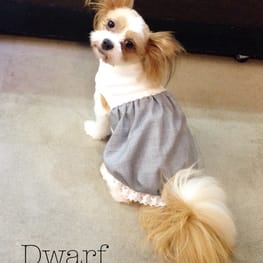 Dwarfさんの作品