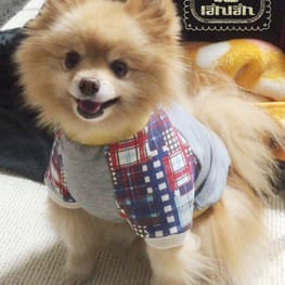 彪ママさんの作品