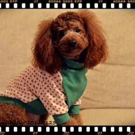 ganmoslabさんの作品