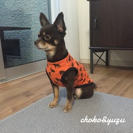 ゆずさんの作品