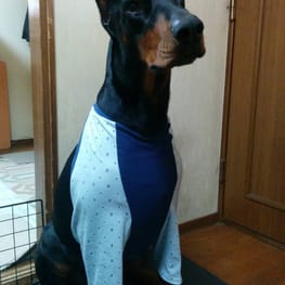 Aliceさんの作品