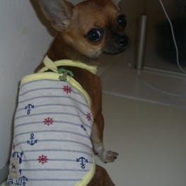 さちママさんの作品