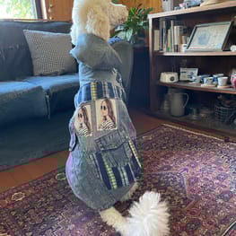 Chizukoさんの作品